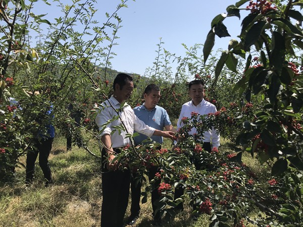 1631233568733032kQQ7.jpg 扶貧_副本.jpg