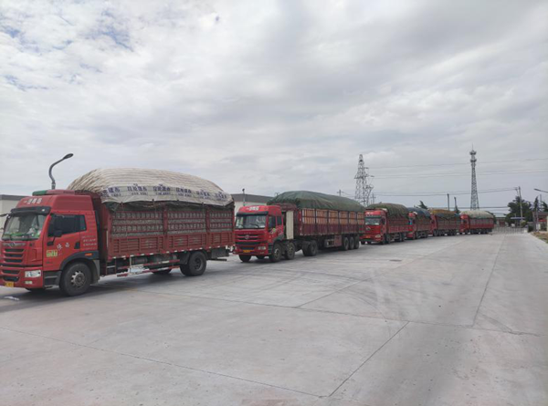 1637286174326612yIM8.png 綠色能源_副本.png