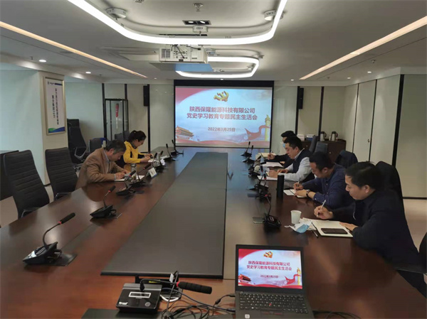 1648433005100071vSZB.jpg 陜西保隆能源科技有限公司召開黨史學習專題民主生活會.jpg
